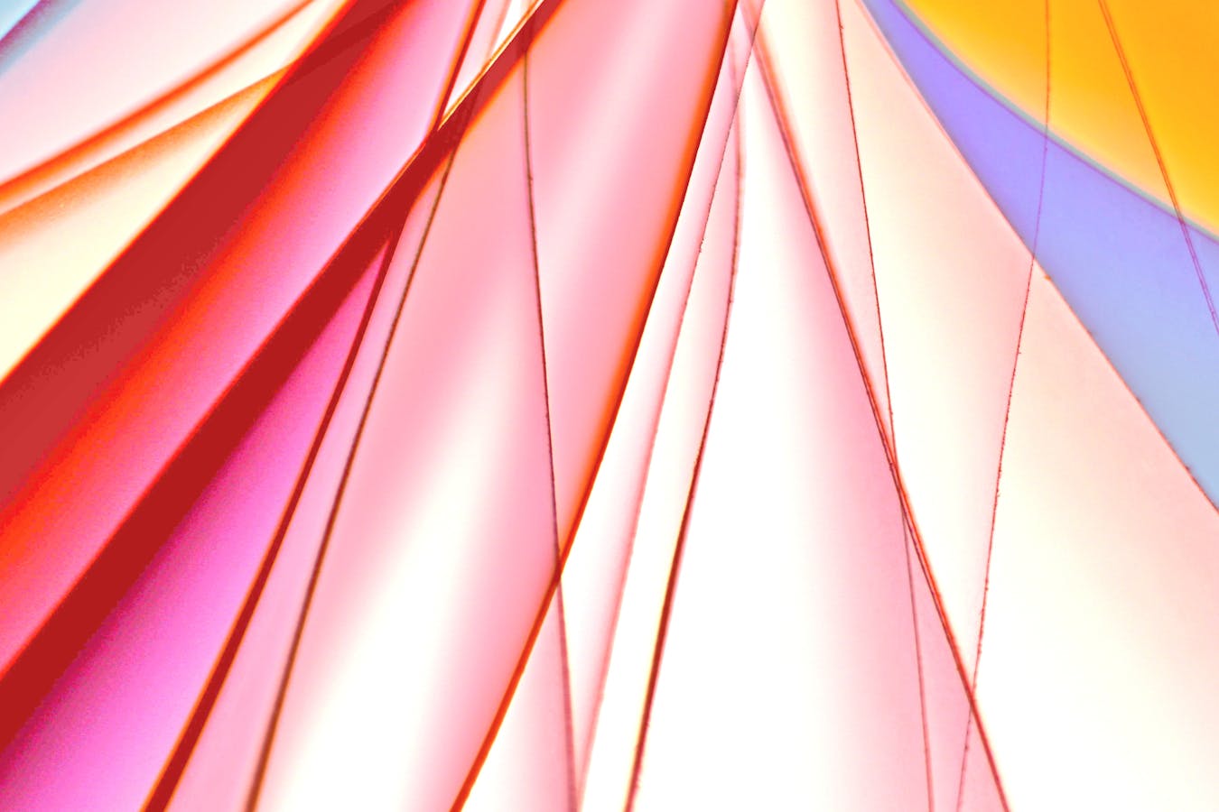 Monogram Color Field